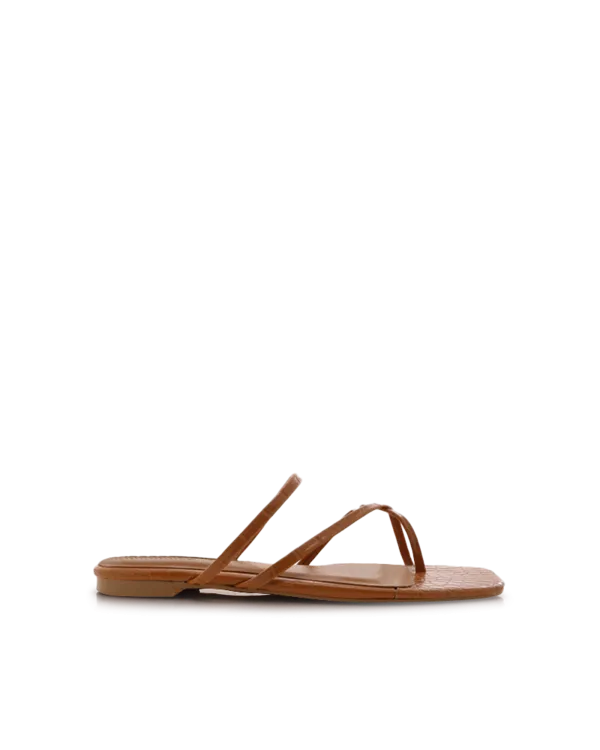 Andre Slide